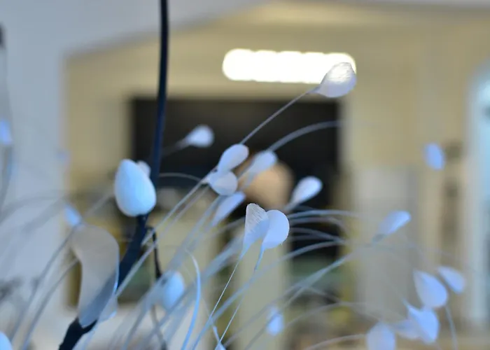 Apartment Elegance *